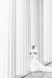 Wadsworth Mansion Winter Wedding in CT