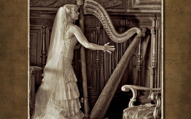 Bride with harp taken at Belcourt Castle in Newport RI Wedding