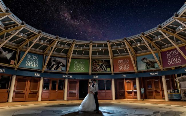 Mystic Aquarium - CT Wedding Photographers