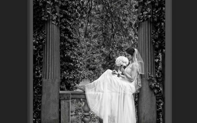 CT Wedding photography at Harkness Park wedding